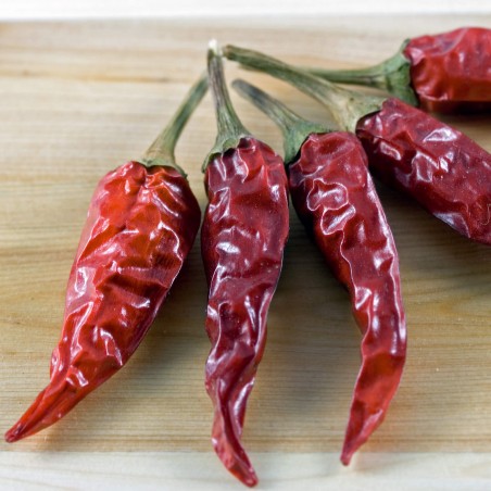 Peperoncino Secco Hot Chilli dried